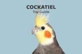 Cockatiel Toy Guide