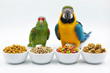 Parrot Pellets | Products Reviewed and How To Use Guide
