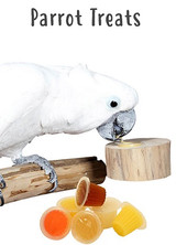 Parrot Treats | What Treats Should You Feed Your Parrot