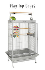 Play Top Parrot Cages | Products Reviewed and How To Use Guide