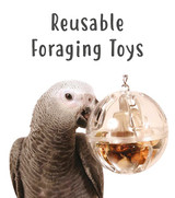 Reusable Foraging Parrot Toys | Products Reviewed and How To Use Guide