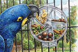 The Creative Foraging Wheel for Parrots - Product Review and How To Use Guide