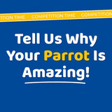 Up To ?150 Worth Of Northern Parrots Vouchers Up For Grabs!