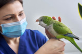 The Importance Of Preventative Medicine In Birds