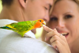 Introducing Parrots To New People