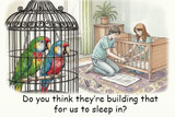 Is Your Parrot Getting Enough Sleep?