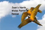 Joan's North Wales Parrot Rescue