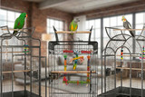 Liberta Cages Endorsed by the World Parrot Trust