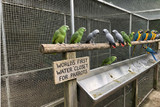 Managing Mess in Parrots