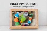 Meet My Parrot:  Jessie The Senegal Parrot