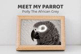 Meet Polly the African Grey