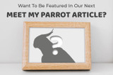 Want to be Featured in our next Meet My Parrot Article?