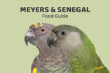 Meyers And Senegals Feeding Guide