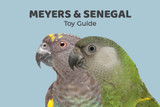 Meyer's and Senegal Toy Guide