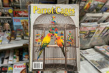 Parrot Cages | Products Reviewed and How To Guide