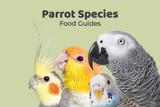 Northern Parrots Handy Feeding Guides