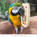 Why Parrot Toy Rotation Is So Important