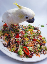 Recipe Ideas By Pollys Natural Teas