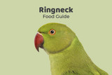 Ringneck Feeding Guide