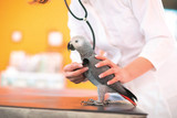 Find An Avian Vet