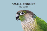 Small Conure Toy Guide