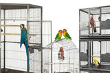 Solid Top Parrot Cages | Products Reviewed and How To Use Guide