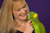 Tips to Get Started Training Your Parrot by Barbara Heidenreich