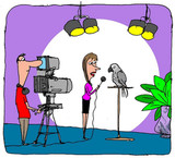 TV Star Hamish By Malcolm Welshman