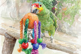 Parrot Wood And Rope Toys | Products Reviewed and How To Use Guide