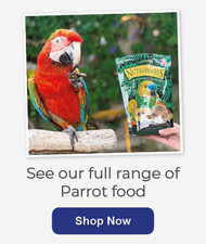 Parrot Food | Products Reviewed and How To Feed Them