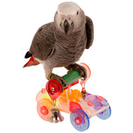 Top Tips On Keeping Your Parrot Active