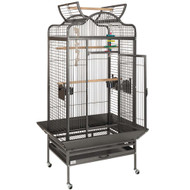 Choosing A Parrot Cage