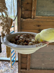 How We Helped The Children's Adventure Farm Trust