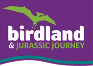 About Birdland