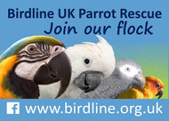 About Birdline Parrot Rescue – Join the Flock