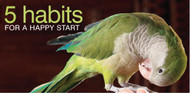 New Year And A New Start For Your Pet Bird