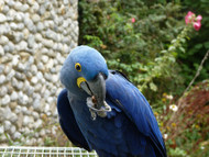 Its All About Flying By Mike Simmons