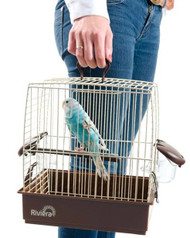 Travelling With Your Pet Bird Or Parrot