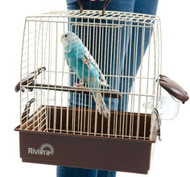 Travelling With Your Pet Bird Or Parrot