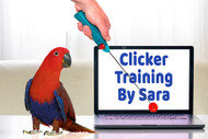 Teach Your Parrot With Clicker Training by Sara Houston