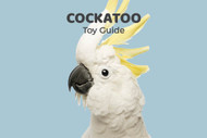 Cockatoo Toy Guide