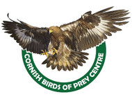 The Cornish Birds Of Prey Centre