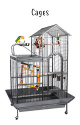 Parrot Cages | Products Reviewed and How To Guide