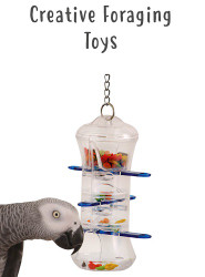 Creative Foraging Parrot Toys | Products Reviewed and How To Use Guide