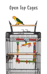 Open Top Parrot Cages | Products Review and How To Use Guide