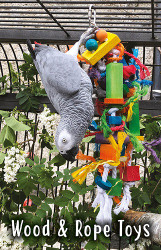 Parrot Wood And Rope Toys | Products Reviewed and How To Use Guide
