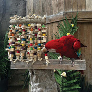 Enrichment For Your Parrot