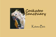 Kakatua Bulu Cockatoo Sanctuary