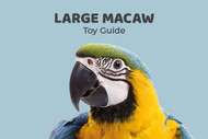 Large Macaw Toy Guide