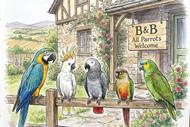 New Parrot Boarding Facilities at Avian Veterinary Services